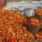 Harga cabai rawit dan bawang merah nasional versi Bapanas