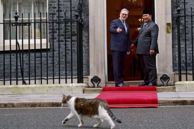 
Perdana Menteri Inggris Keir Starmer saat berbincang dengan Presiden Prabowo Subianto mengenai Larry the Cat, kucing resmi Kantor Perdana Menteri Inggris, di Kantor Perdana Menteri Inggris, Downing Street, London, Selasa 20 Januari 2026 (Foto: Biro Pers Sekretariat Presiden)